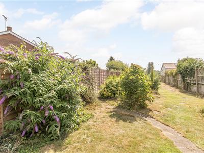 Garden (Photo Two)